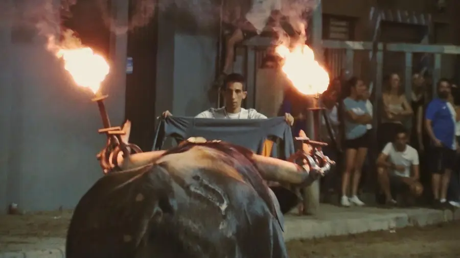 Toros